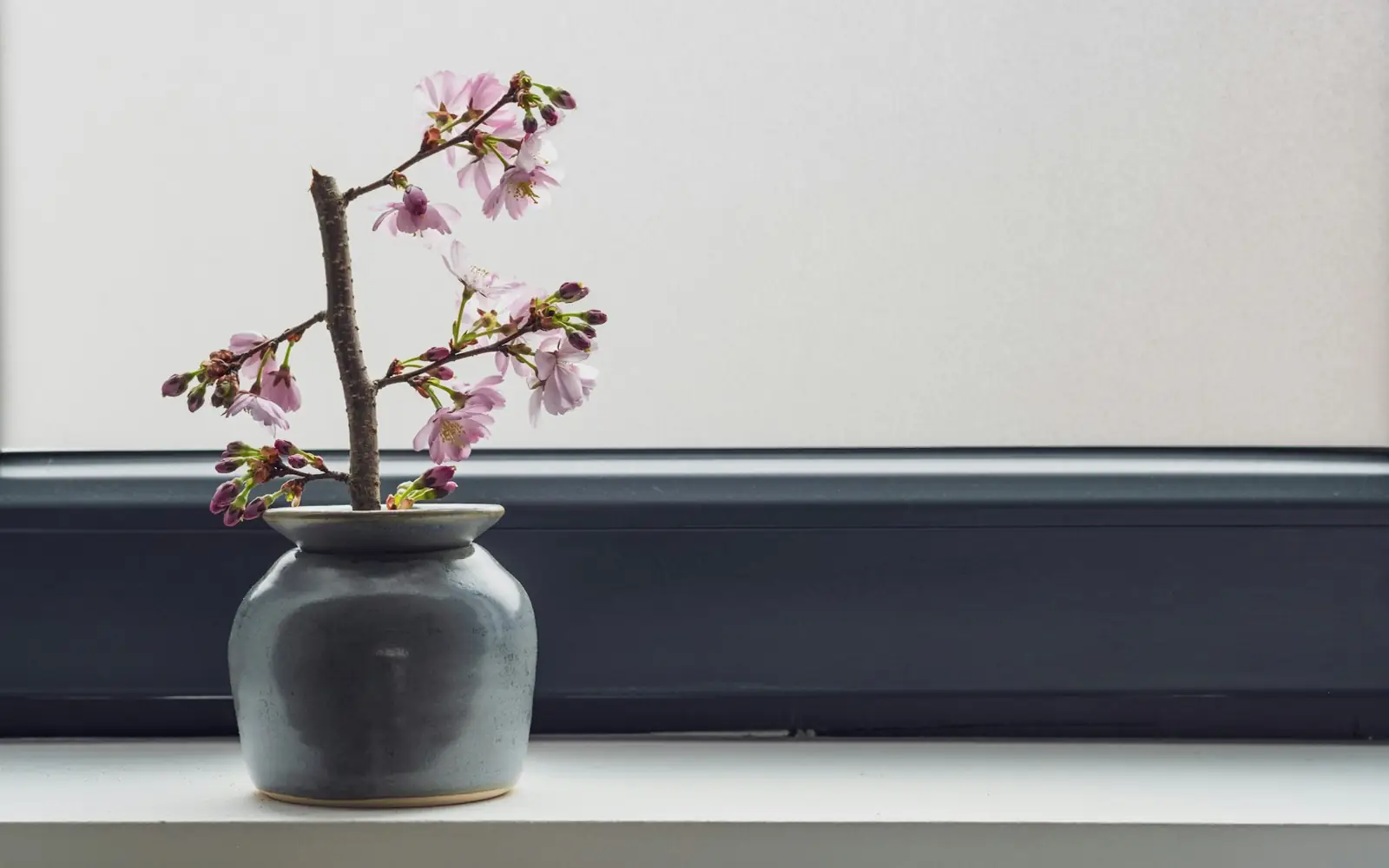 A ceramic vase and flowering branch against charcoal window trim