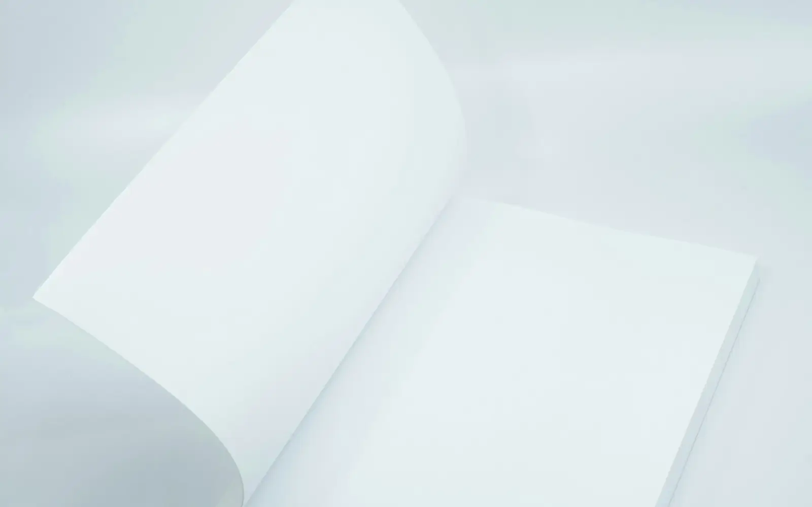 Blank printed pages arranged in a sculptural fold